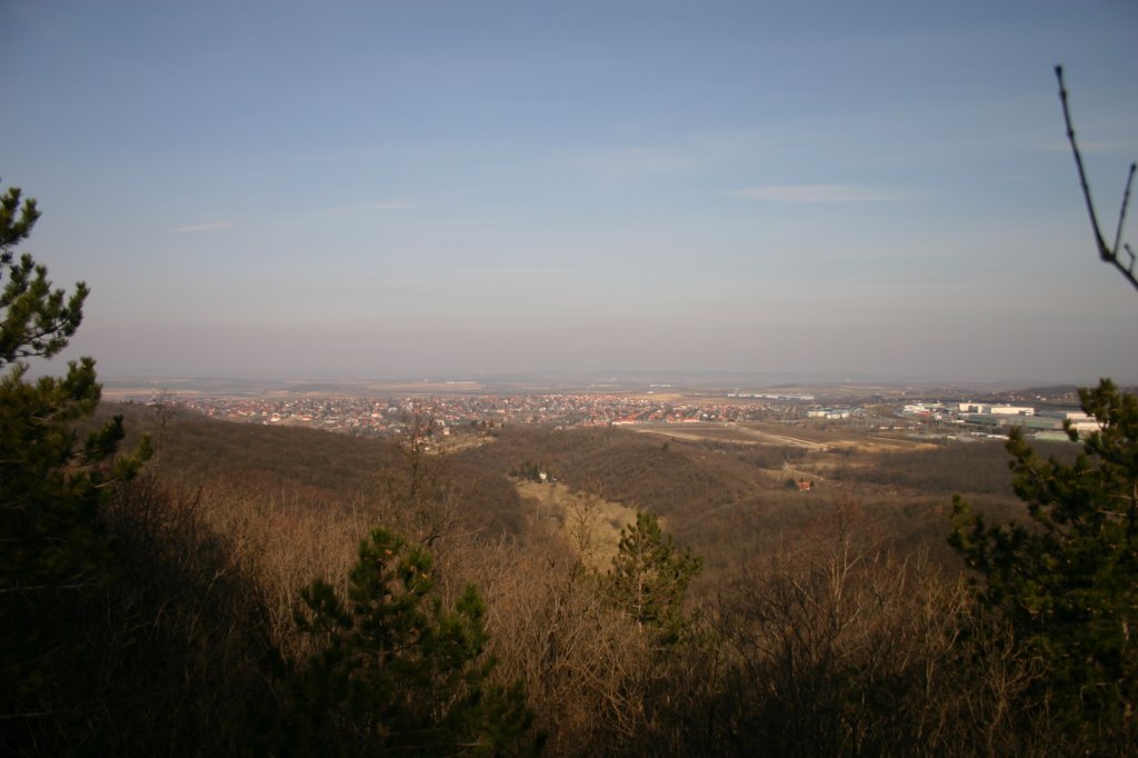 img_5387.jpg