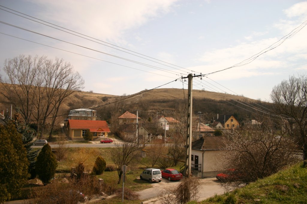 img_5409.jpg