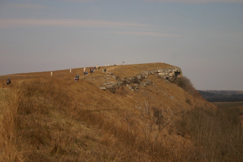 img_5411.jpg
