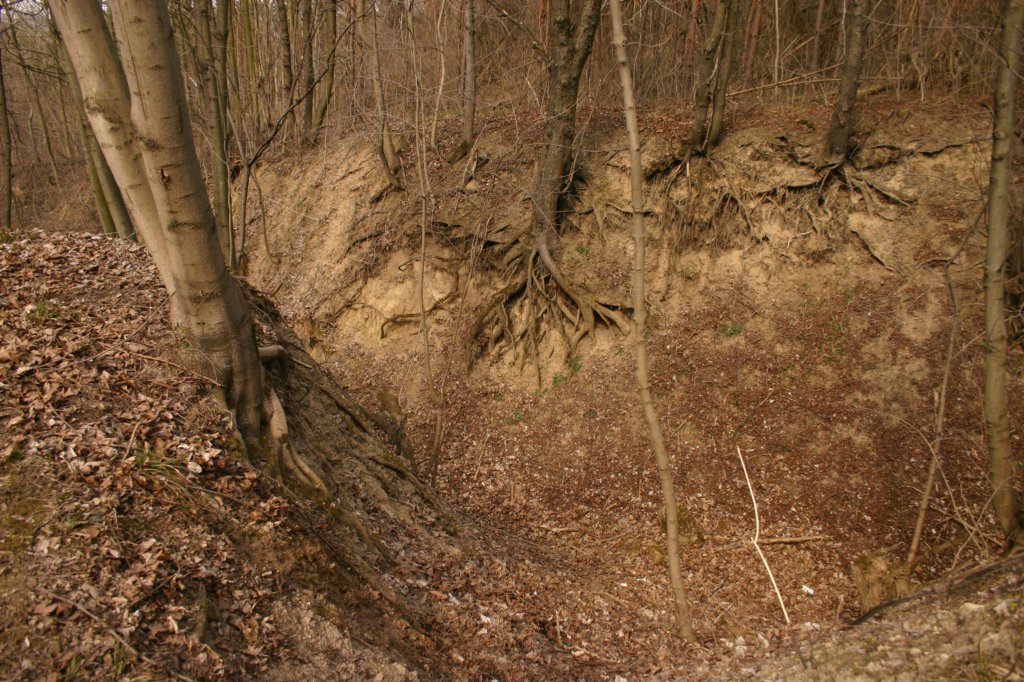 img_5425.jpg
