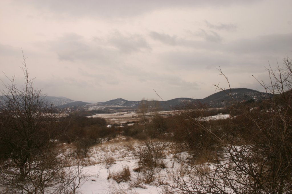 img_5117.jpg
