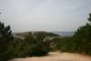 Photo Number 6