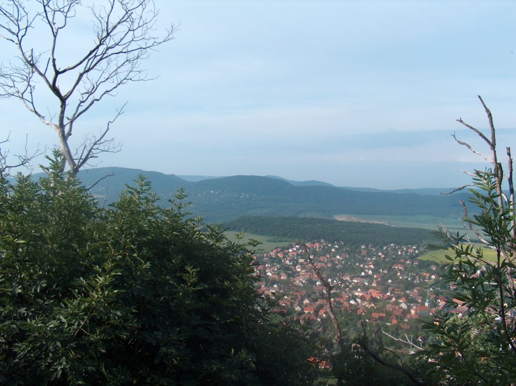 hpim2142.jpg