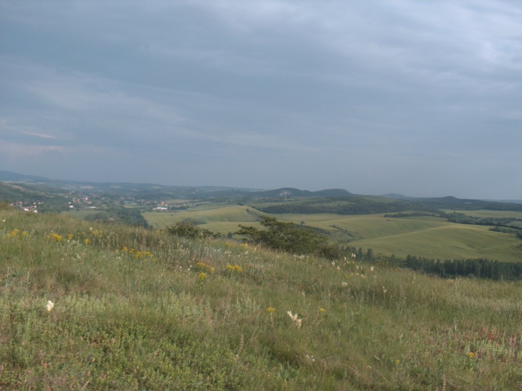 hpim2180.jpg