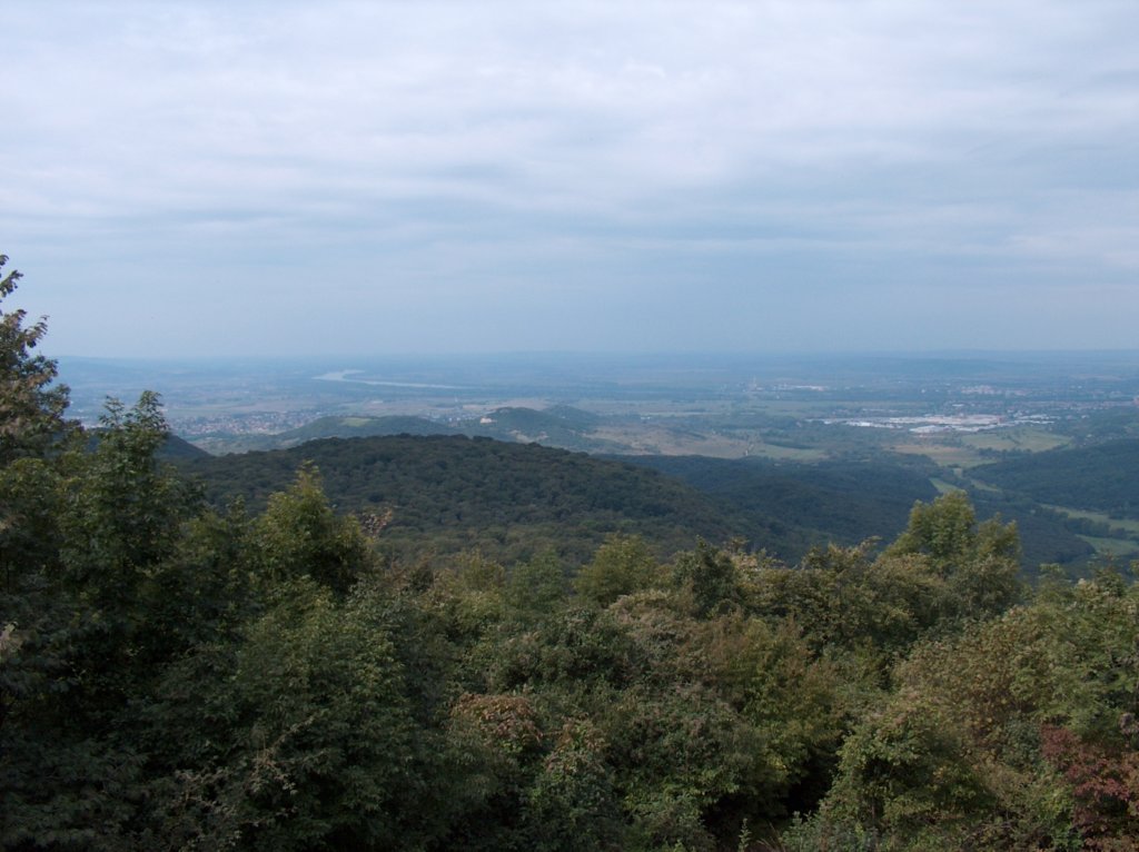 hpim2354.jpg