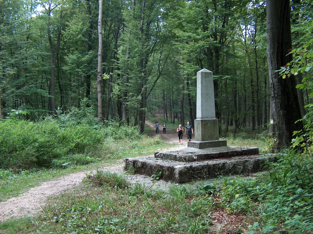 hpim2358.jpg