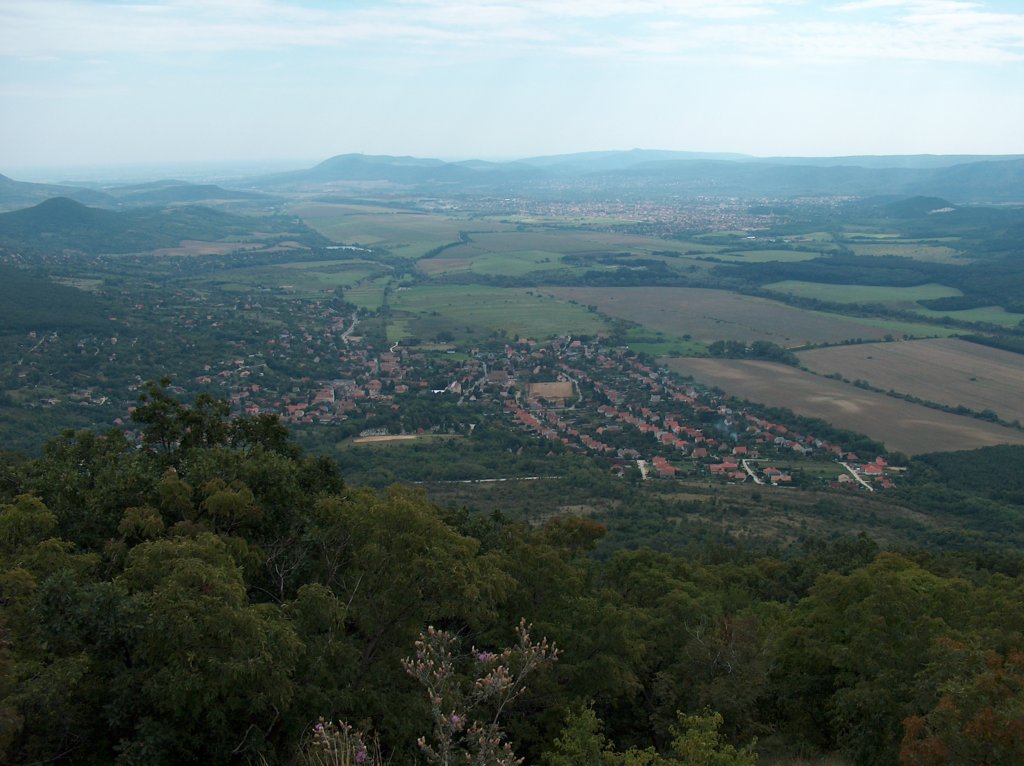 hpim2363.jpg