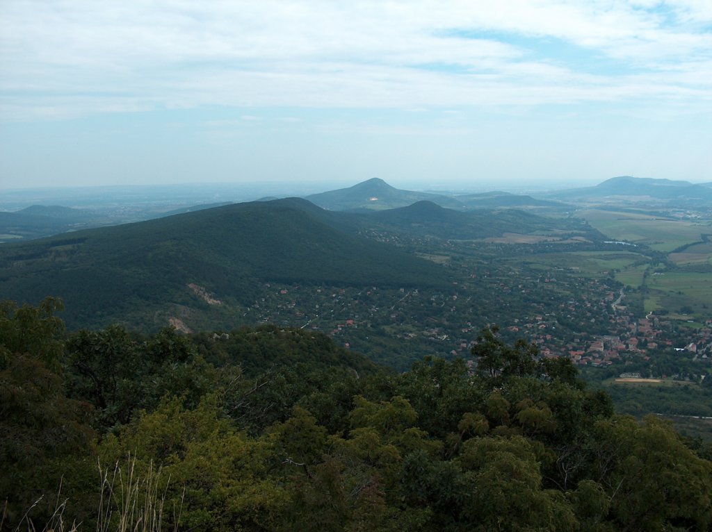 hpim2364.jpg