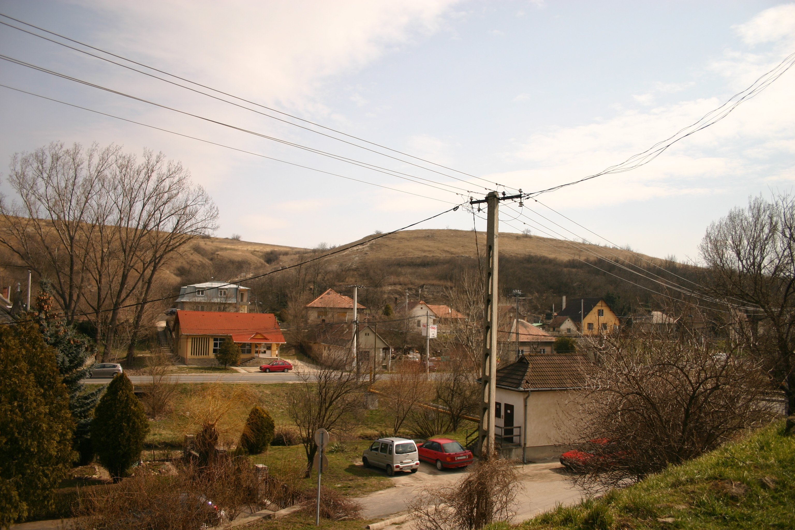 Photograph