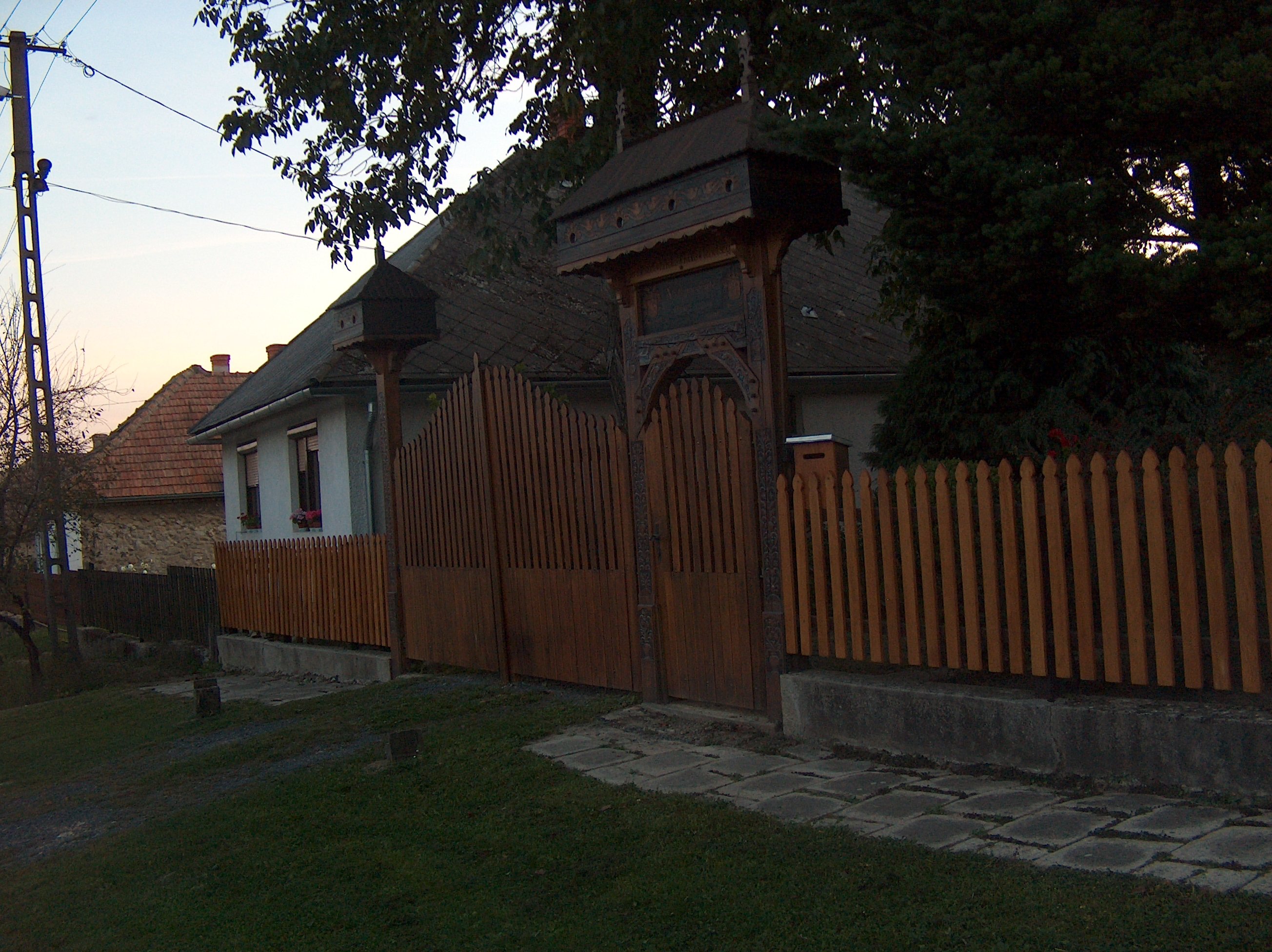 Photograph