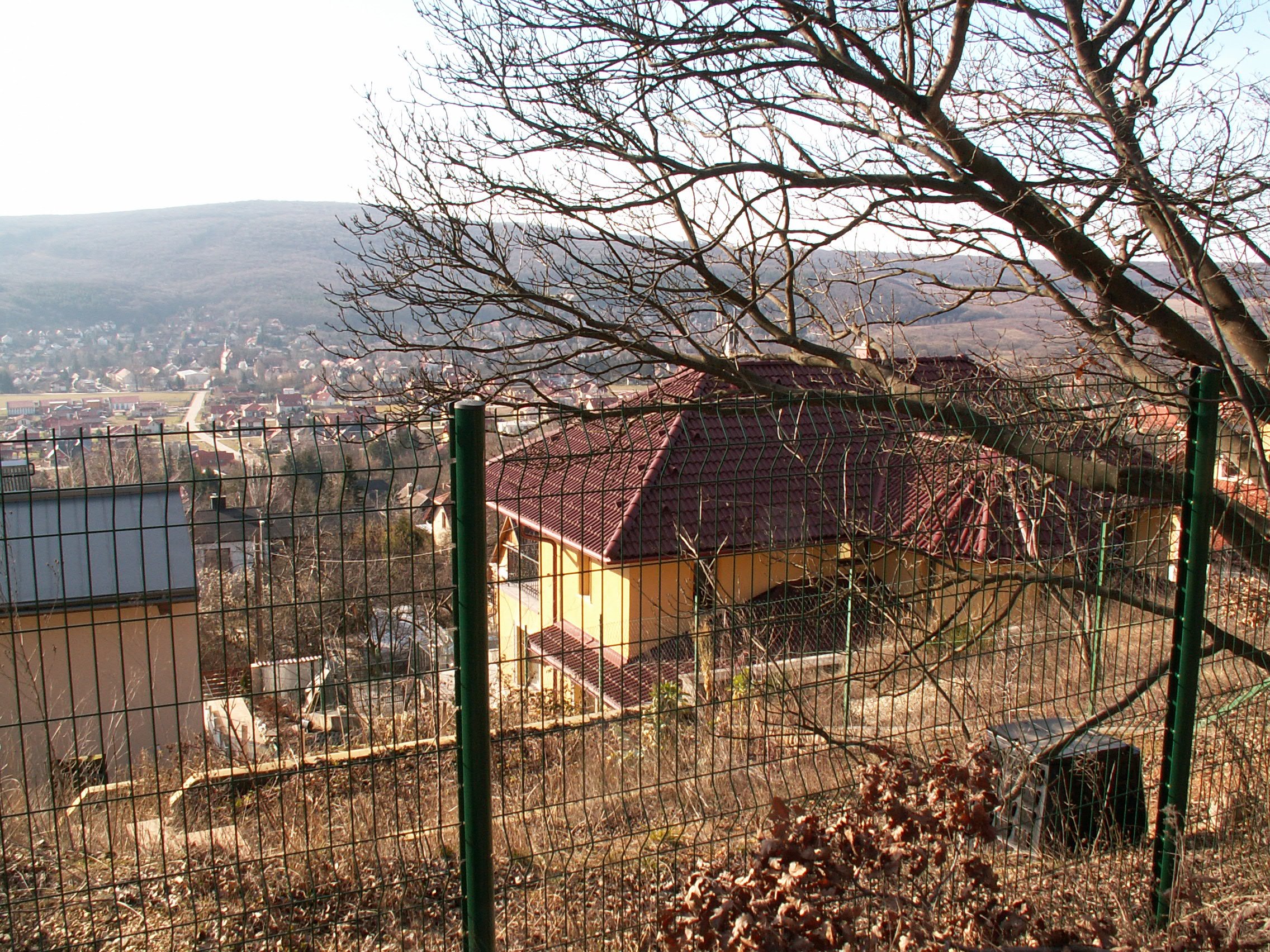 pict0034.jpg
