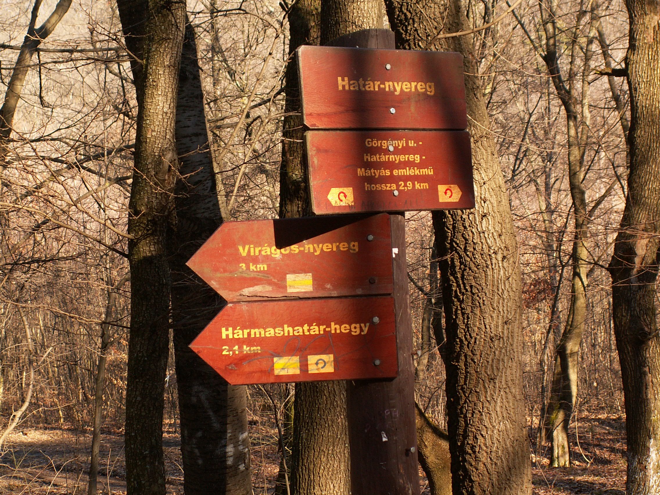 pict0080.jpg