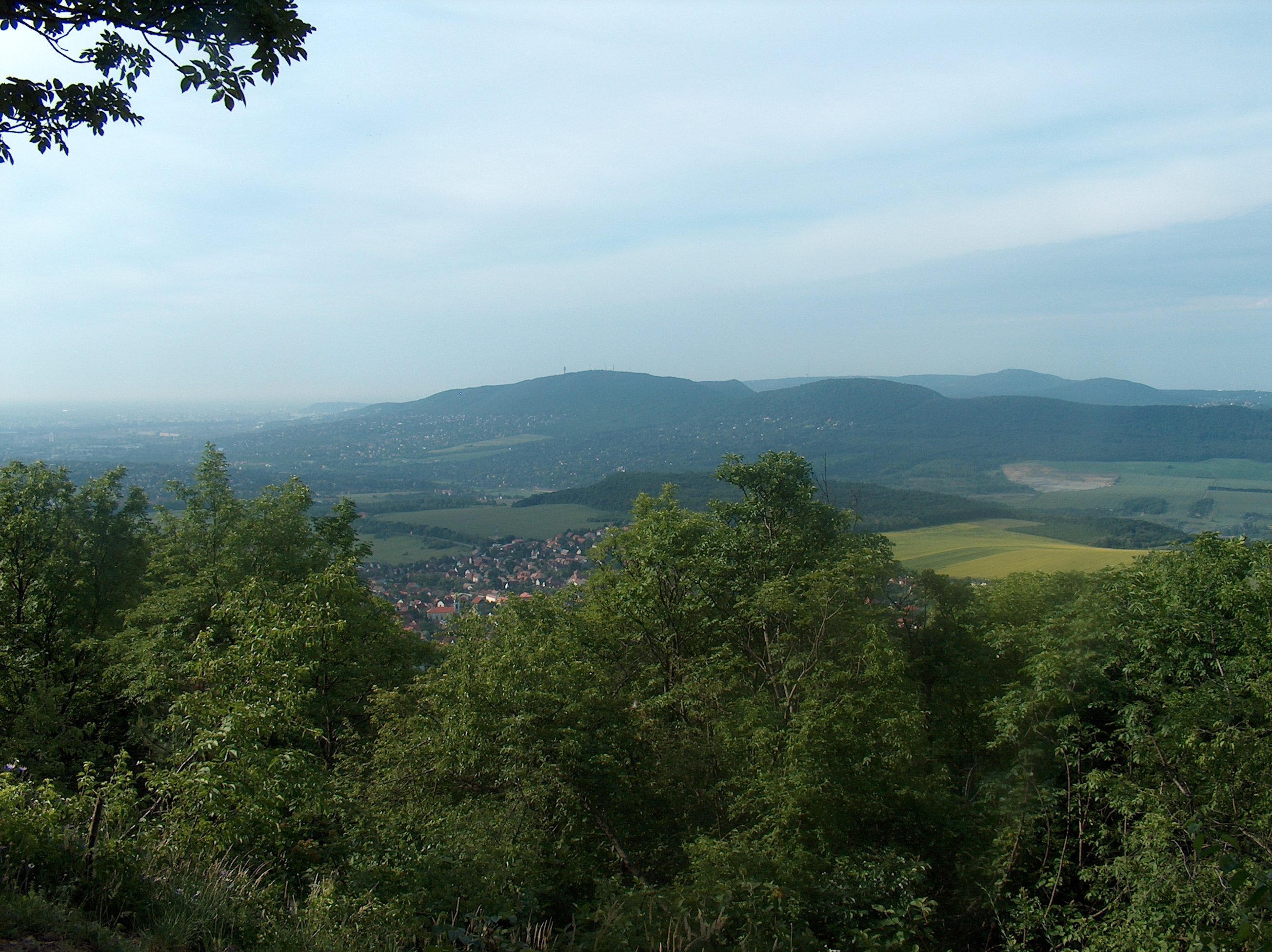 hpim2143.jpg