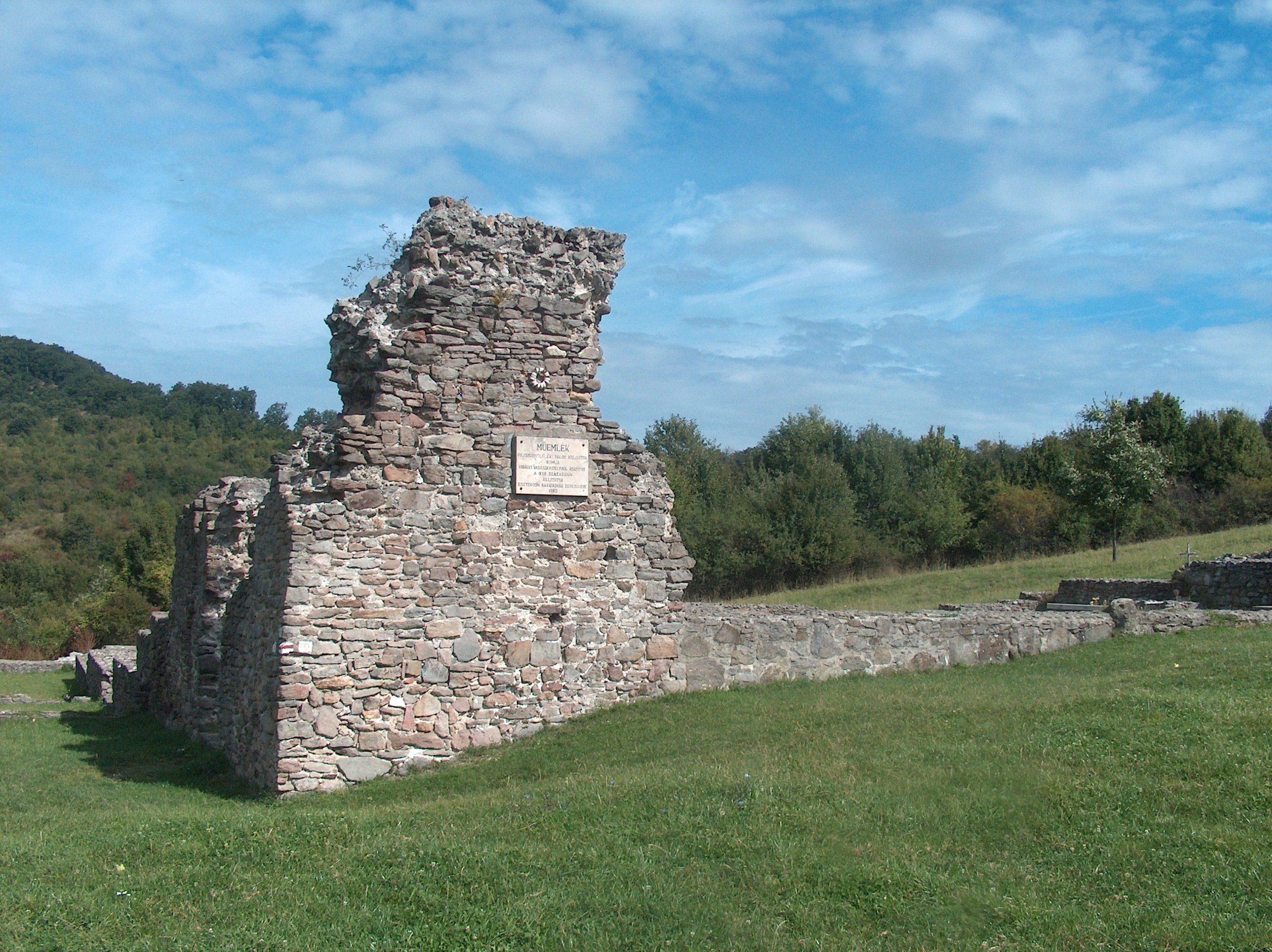 hpim2335.jpg