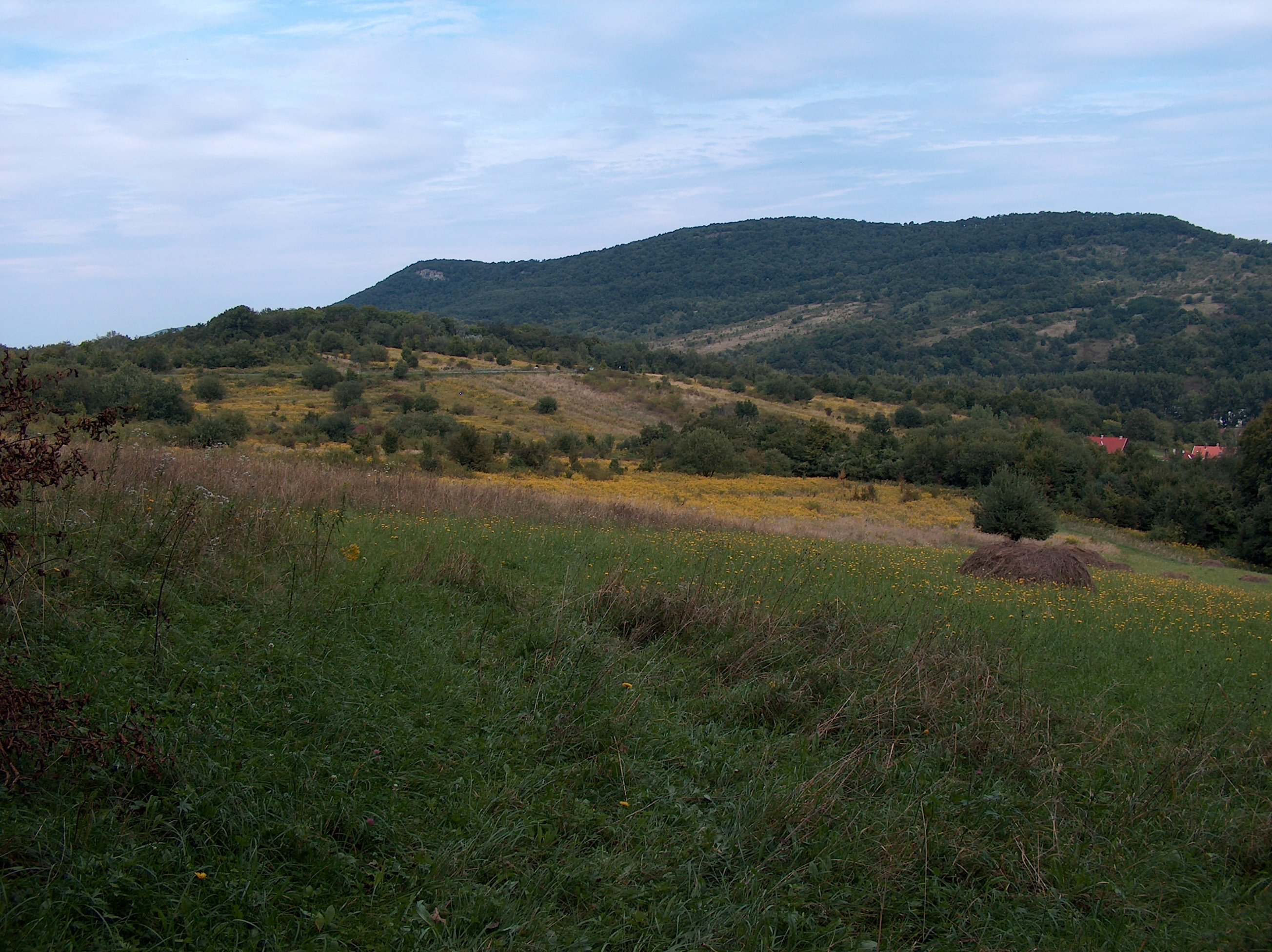 hpim2347.jpg