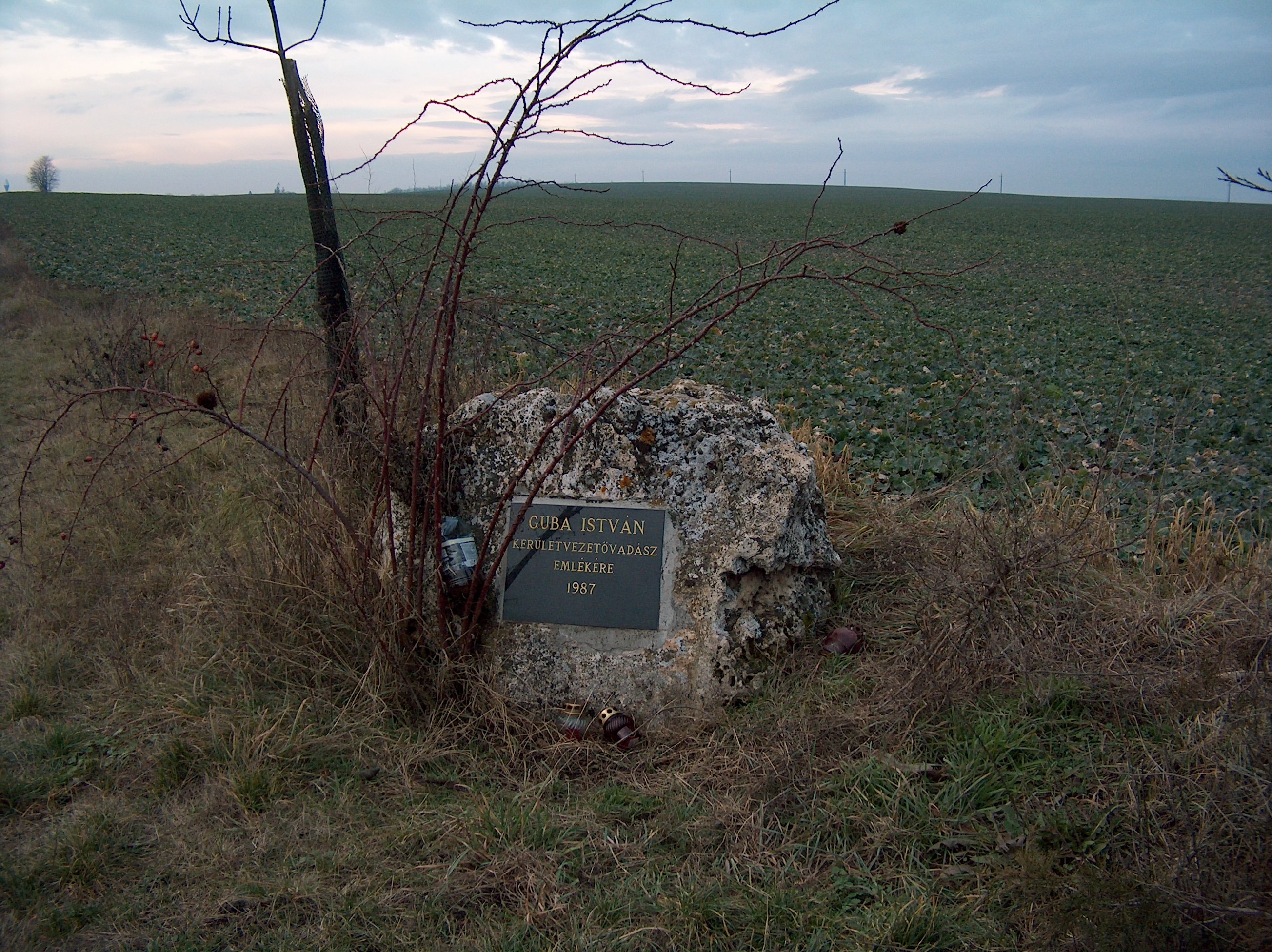 hpim8929.jpg